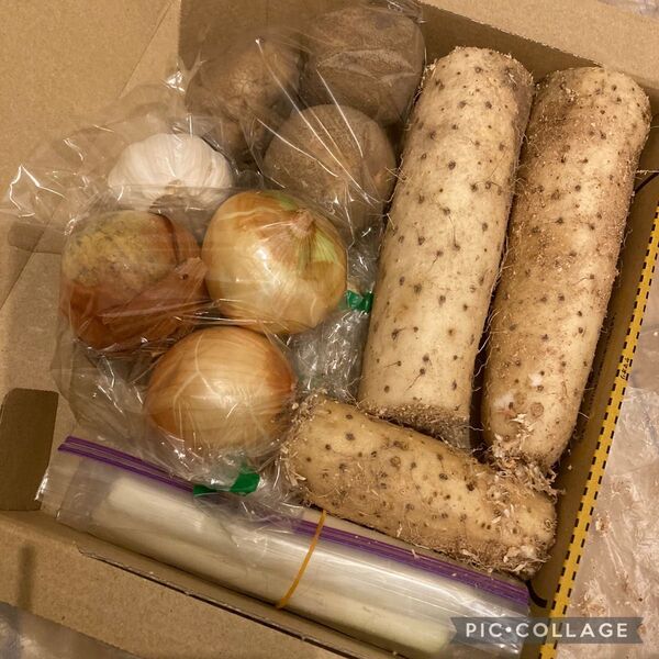 即買い歓迎!野菜詰め合わせ!贅沢長芋野菜セット!じゃがいもMサイズ