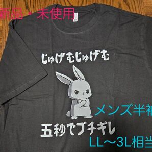 【新品・未使用】半袖Tシャツ「じゅげむじゅげむ五秒でブチギレ」