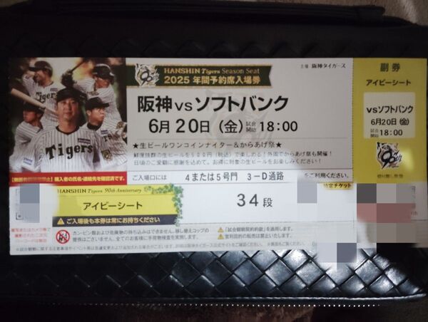 2025年6月20日(金)甲子園球場 阪神タイガース対ソフトバンク戦 アイビーシートチケット 1枚