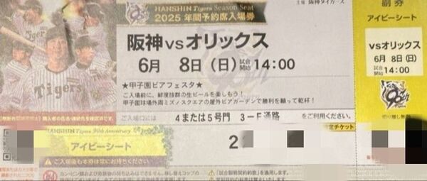 2025年6月8日(日)甲子園球場 阪神タイガース対オリックスD戦 アイビーシートチケット1枚