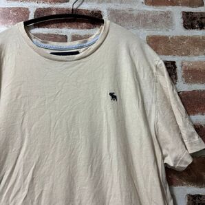 早い者勝ち アバクロ Tシャツ