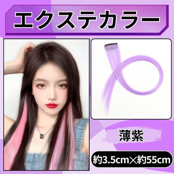カラーエクステ 2本セット 薄紫 ライトパーブル ワンタッチカラー インナーカラー 簡単着用 カット可 コスプレ ダンス 発表会