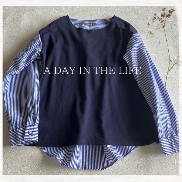 A DAY IN THE LIFE ドッキングカットソー 長袖 ゆったり ストライプ ネイビー