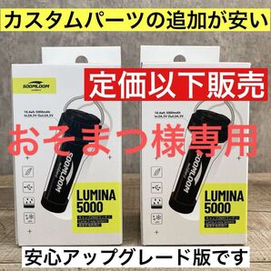 2個 最安値 lumina5000 ルミナ5000 スームルーム ゴールゼロ カスタムパーツの追加がお得です ⑨