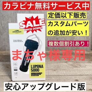 1個 最安値 lumina5000 ルミナ5000 スームルーム ゴールゼロ カスタムパーツの追加がお得です ①