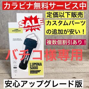 1個 最安値 lumina5000 ルミナ5000 スームルーム ゴールゼロ カスタムパーツの追加がお得です ⑤