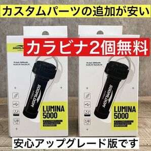 2個 最安値 lumina5000 ルミナ5000 スームルーム ゴールゼロ カスタムパーツの追加がお得です カラビナ無料サービス