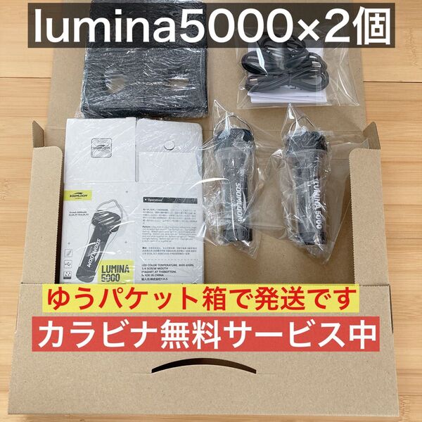 2個 最安値 lumina5000 ルミナ5000 スームルーム ゴールゼロ カスタムパーツの追加がお得です カラビナ無料 ⑧