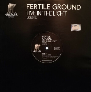 【廃盤12inch】Fertile Ground / Live In The Light (UK Remix)