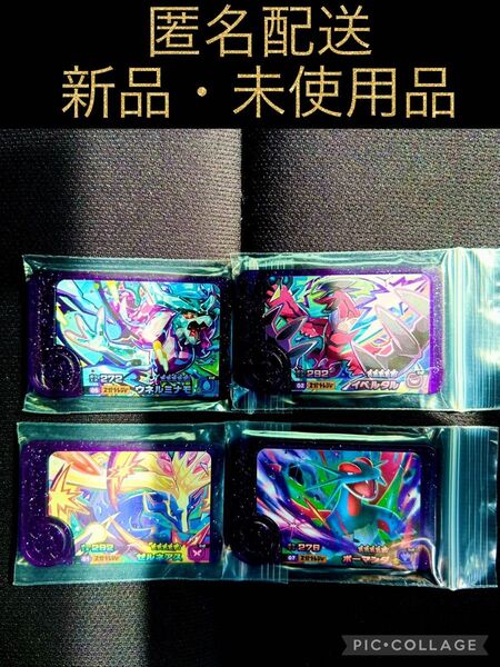 ポケモンフレンダ スーパートレジャー ウネルミナモ イベルタル ゼルネアス ボーマンダ 未使用品