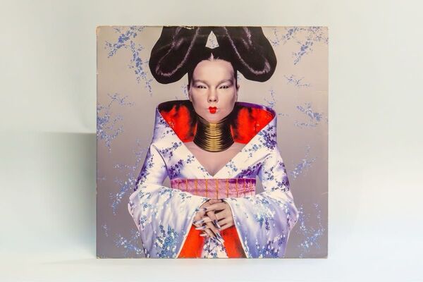 Bjork / Homogenic / 12インチ LPレコード