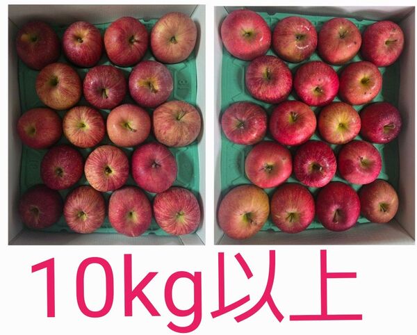 青森県産 りんご ふじ 1箱二段 秀 36個入り