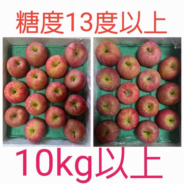 青森県産 りんご ふじ 特選 1箱二段 28個入り 糖度13度以上