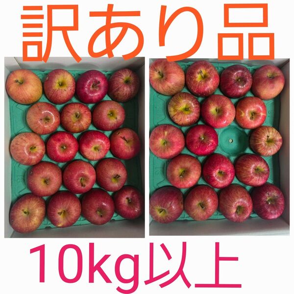 青森県産 りんご ふじ 1箱二段 35個入り 訳あり品