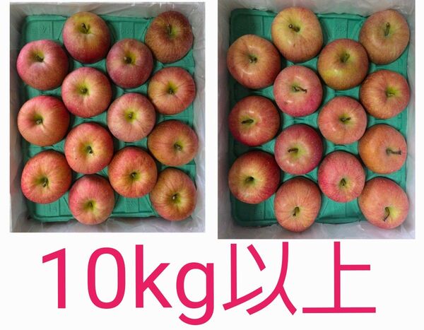 青森県産 りんご ふじ 特秀 1箱二段 28個入り