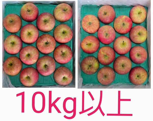 青森県産 りんご ふじ 特秀 1箱二段 28個入り