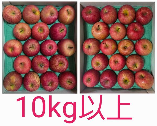 青森県産 りんご ふじ 1箱二段 秀 36個入り