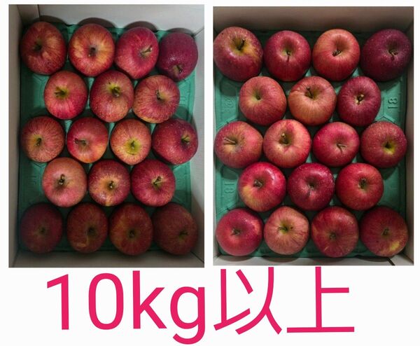 青森県産 りんご ふじ 1箱二段 秀 36個入り