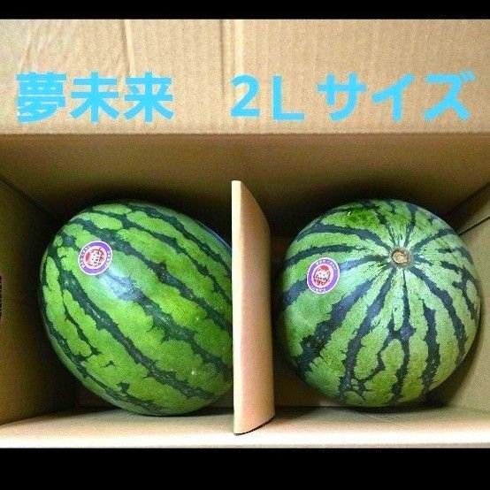 熊本県産 すいか 2Lサイズ 秀 夢未来 2玉セット