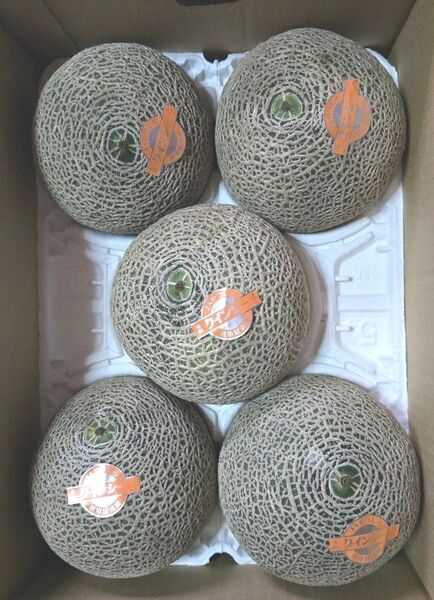 熊本県産 クインシーメロン【赤肉】 秀 5玉セット