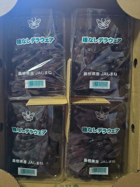 島根県産 デラウェア ぶどう 計1kg以上 270g×4パック
