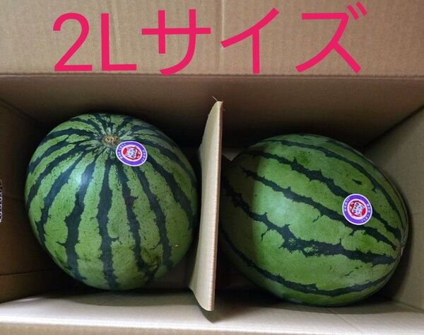 熊本県産 すいか 2Lサイズ 秀 夢未来 2玉セット