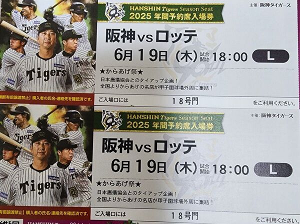 阪神タイガース 6月19日 チケット レフト外野指定席 2枚