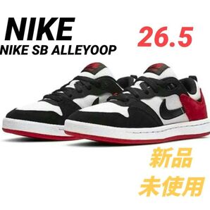 ナイキ NIKE SB ALLEYOOP(26.5)