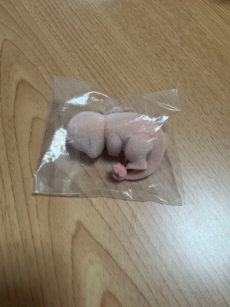 ポケモンスリープフィギュアコレクション ワカクサ本島 pokemon sleep ヒトカゲ
