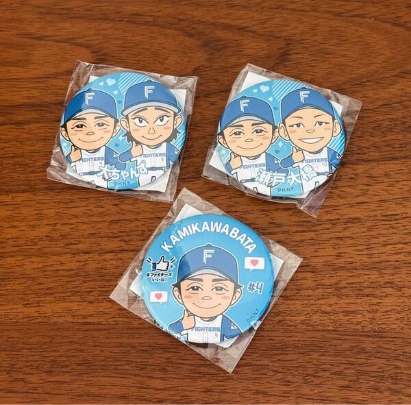 北海道日本ハムファイターズ 日ハム 缶バッジ ガチャガチャ 淺間大基 上川畑大悟 水野達稀