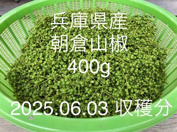 山椒の実(朝倉山椒) 400g 【No.14】