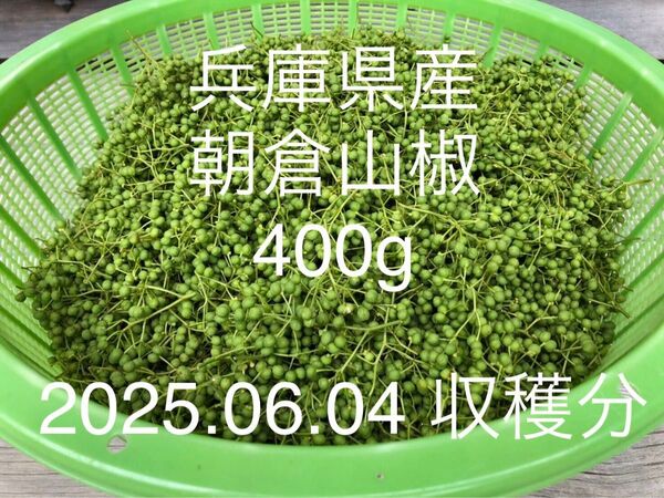 山椒の実(朝倉山椒) 400g 【No.17】