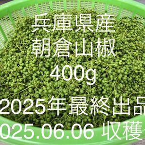 山椒の実(朝倉山椒) 400g 【No.29】