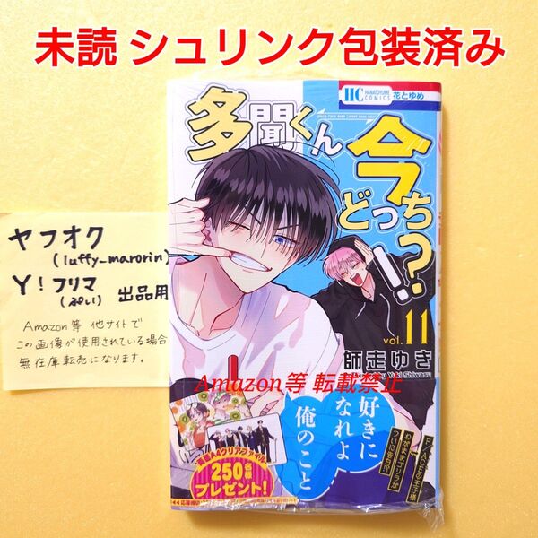 未読 初版 多聞くん今どっち!? (11) 師走ゆき 花とゆめコミックス 多聞くん 11巻 シュリンク包装済み