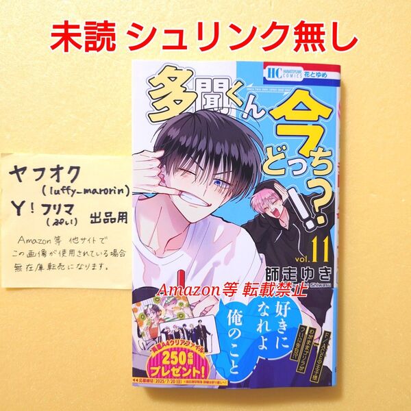 未読 初版 多聞くん今どっち!? (11) 師走ゆき 花とゆめコミックス 多聞くん 11巻