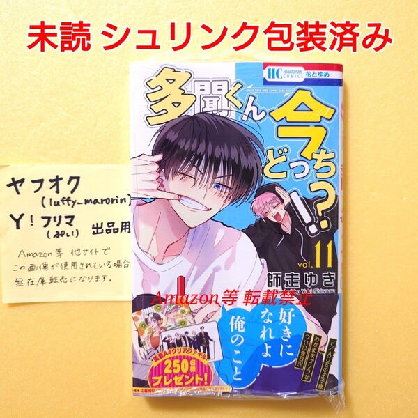 未読 初版 多聞くん今どっち!? (11) 師走ゆき 花とゆめコミックス 多聞くん 11巻 シュリンク包装済み