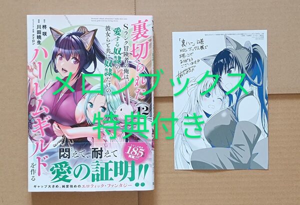 コミック●裏切られたSランク冒険者の俺は、愛する奴隷の彼女らと共に奴隷だけのハーレムギルドを作る 12 柊咲 川田暁生 ナイロン