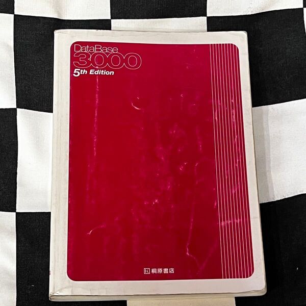 Database 3000 第5版 桐原書店