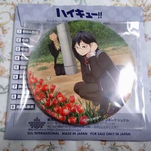 ハイキュー!! トレーディングBIG缶バッジ 放課後ローテーション 清水&田中