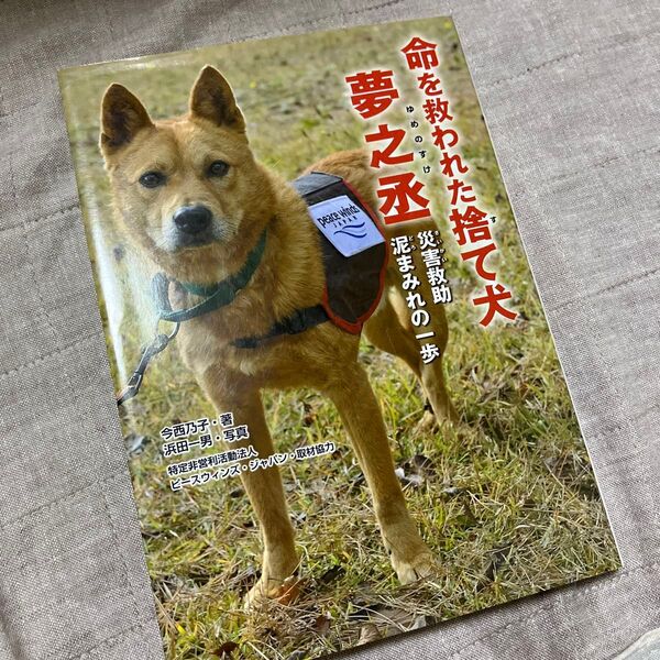 命を救われた捨て犬夢之丞 災害救助泥まみれの一歩 (ノンフィクション知られざる世界) 今西乃子/著 浜田一男/写真