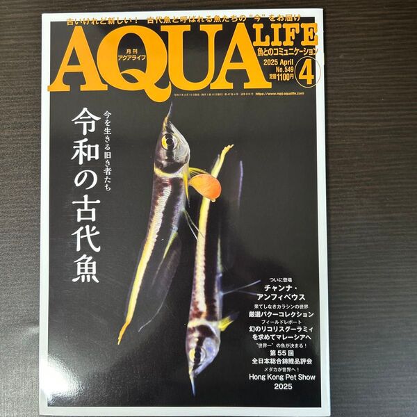 月刊アクアライフ 2025年4月号 (エムピージェー)