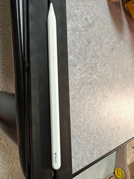 Apple Pencil 第2世代 ジャンク