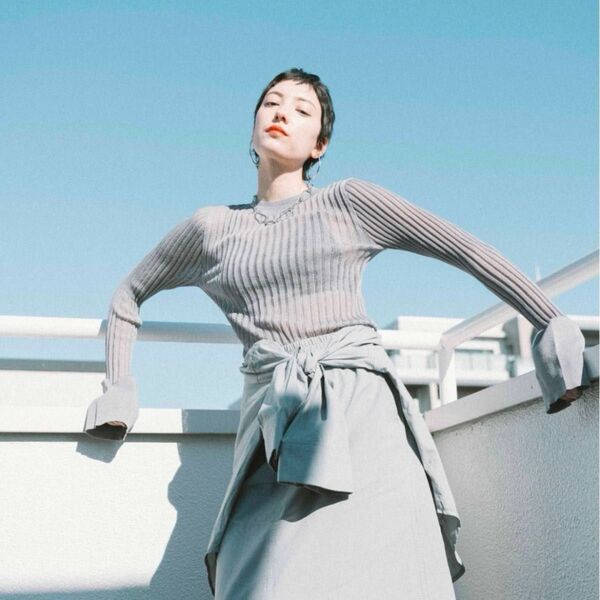 新品未使用 HANNE シアーリブニットトップス 定価¥4,290 グレー