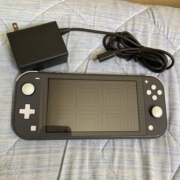 Nintendo Switch Lite グレー ニンテンドースイッチライト 任天堂