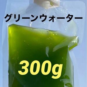 グリーンウォーター 300g