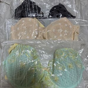 未使用 E70 ブラジャー 3点セット