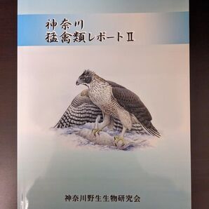 神奈川猛禽類レポート II