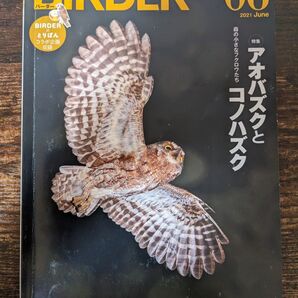BIRDER 2021年6月号 (文一総合出版)