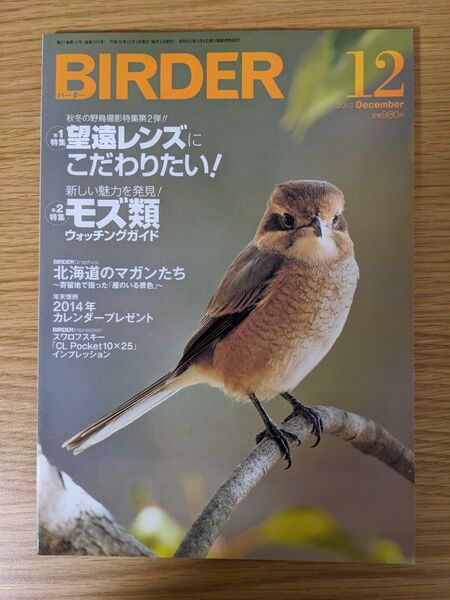 BIRDER 2013年12月号