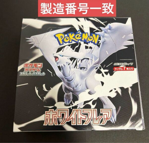 スカーレット&バイオレット 拡張パック ホワイトフレア 1 BOX(20パック)